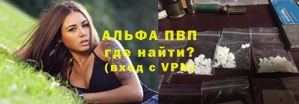 сатива Володарск