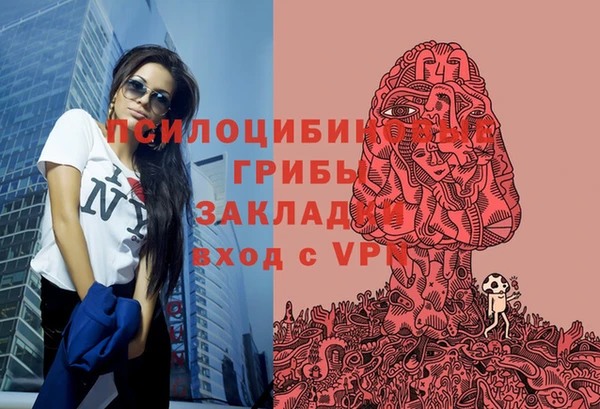 меф Вяземский